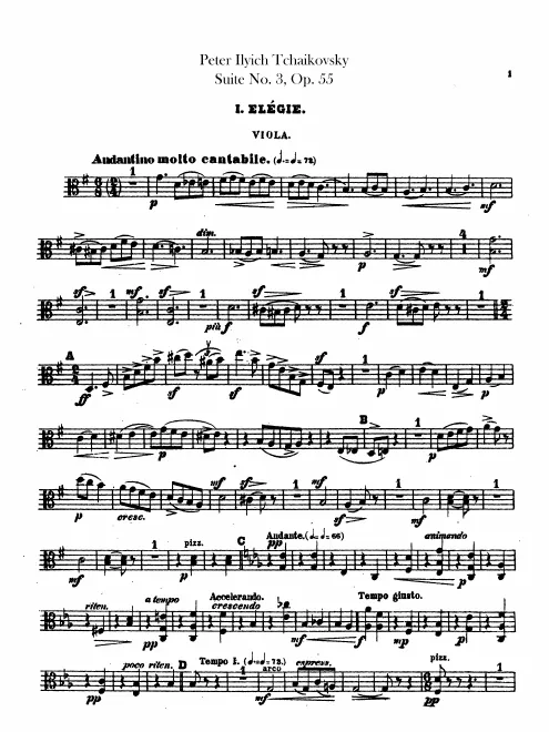 Violas