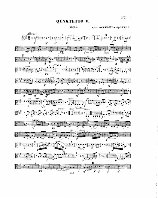 Viola