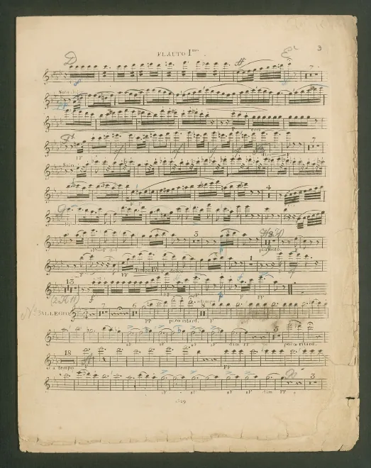 Flute 1*
