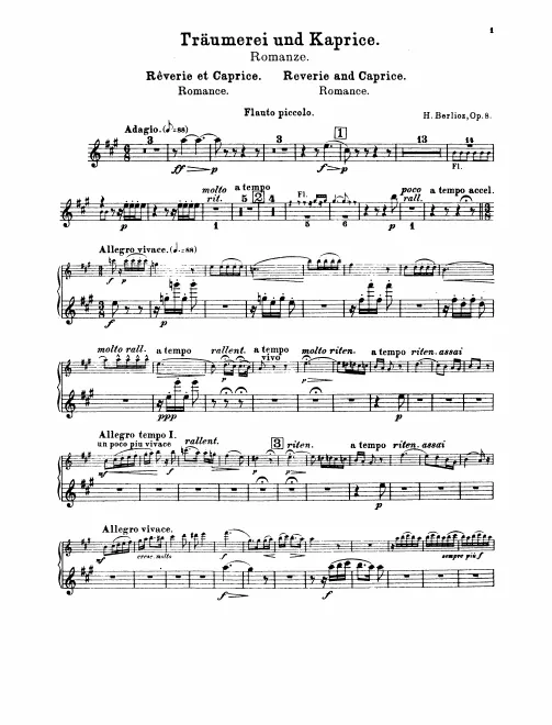 Piccolo, Flute