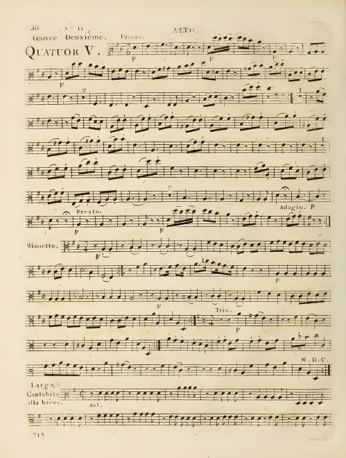 Viola