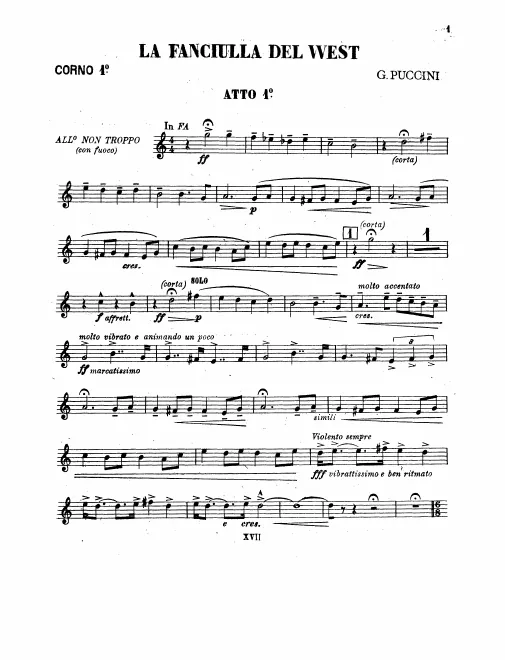 Horn 1