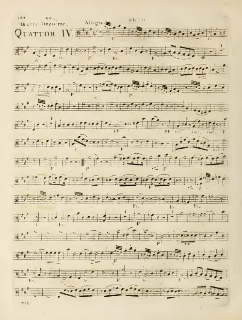 Viola