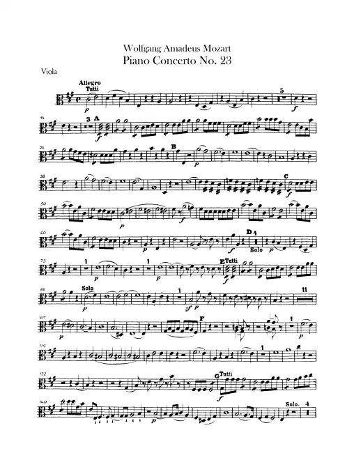 Violas