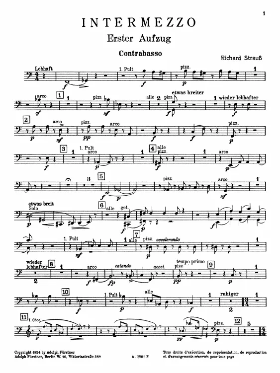 Basses (monochrome)