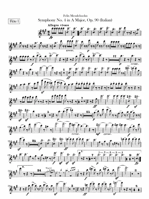 Flute 1