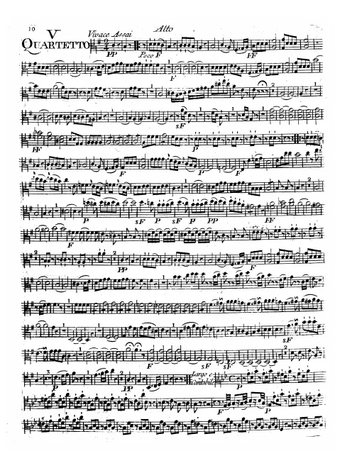 Viola