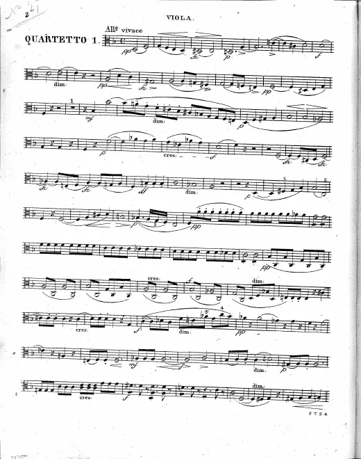 Viola