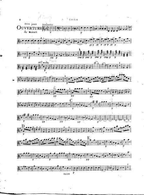 Violas
