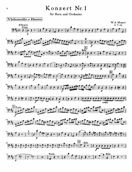 Cellos/Basses