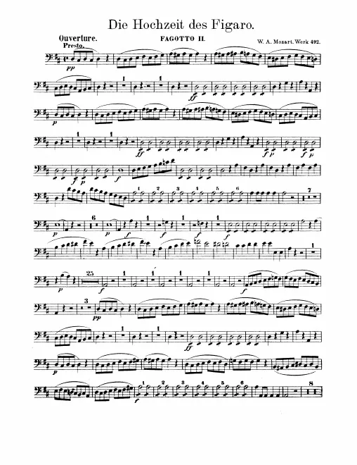 Bassoon 2