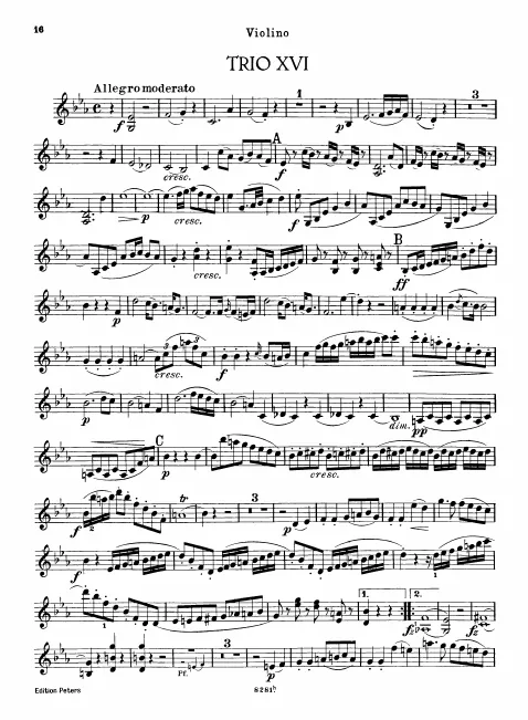 Violin