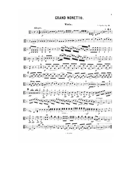 Viola
