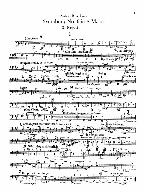 Bassoon 2
