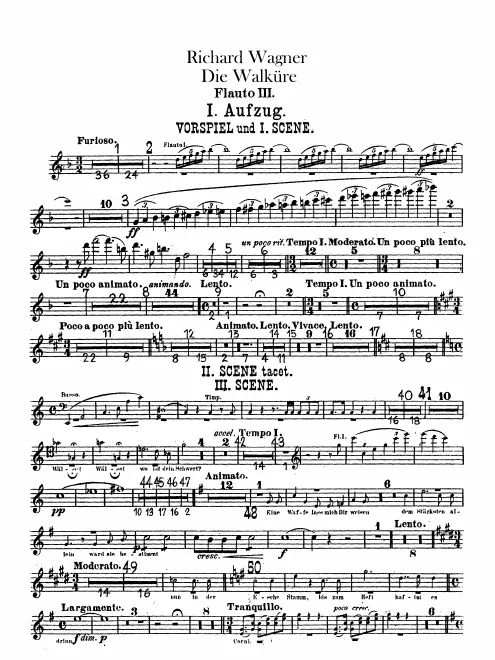 Flute 3