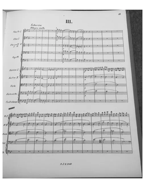 III. Scherzo: Allegro molto