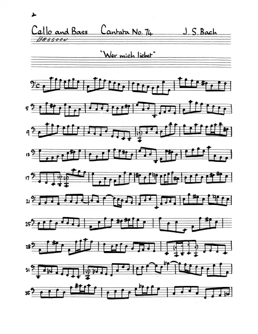 Continuo (Cellos/Basses/Bassoon)