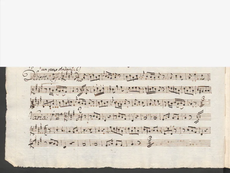 Viola
