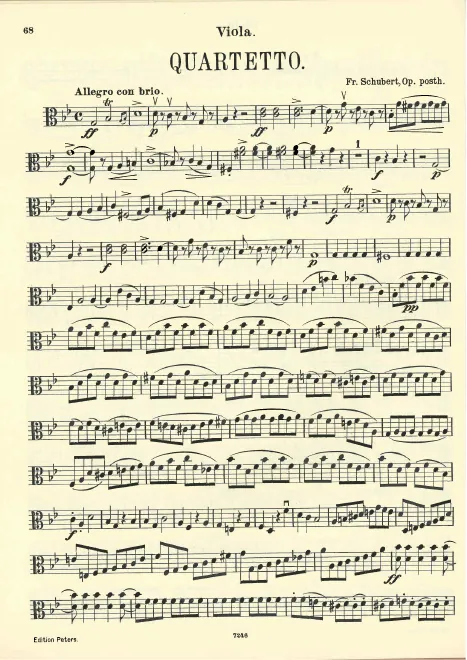 Viola