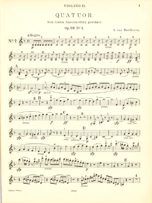 Violin 2