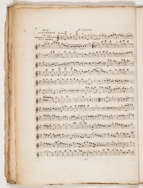 Flute 2