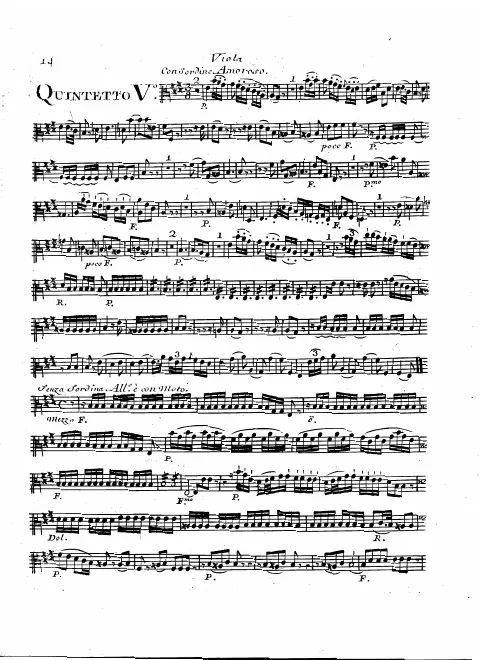 Viola
