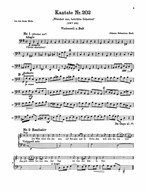 Cellos/Basses