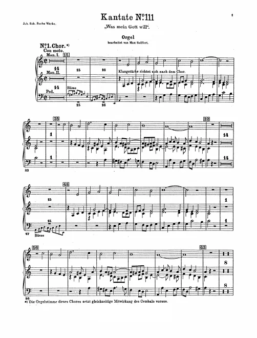 Organ