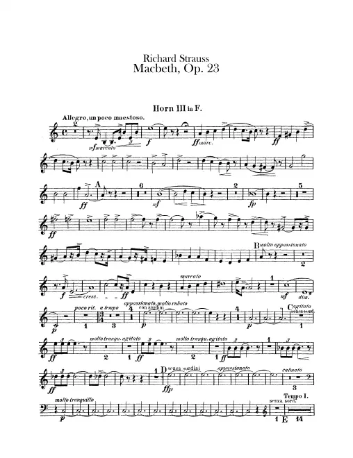 Horn 3 (F)