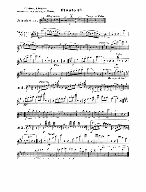 Flute 2