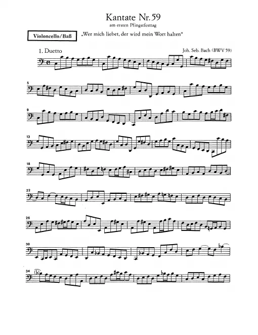 Cellos/Basses