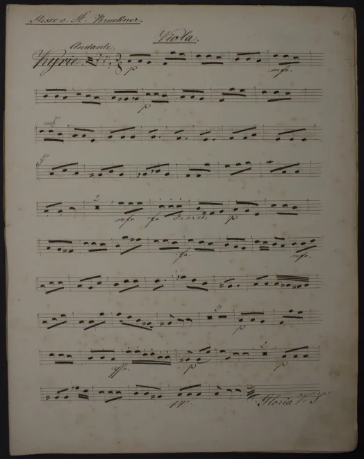 Violas