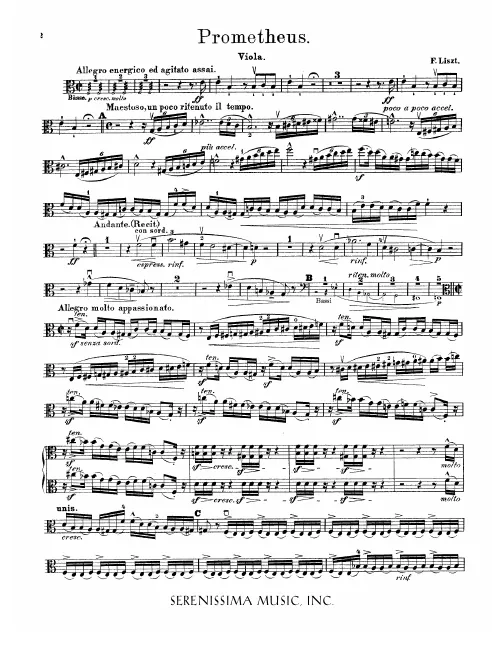 Violas