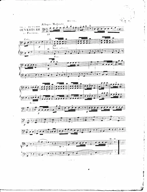Cellos/Basses