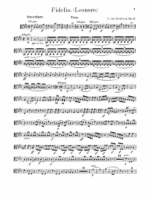 Violas