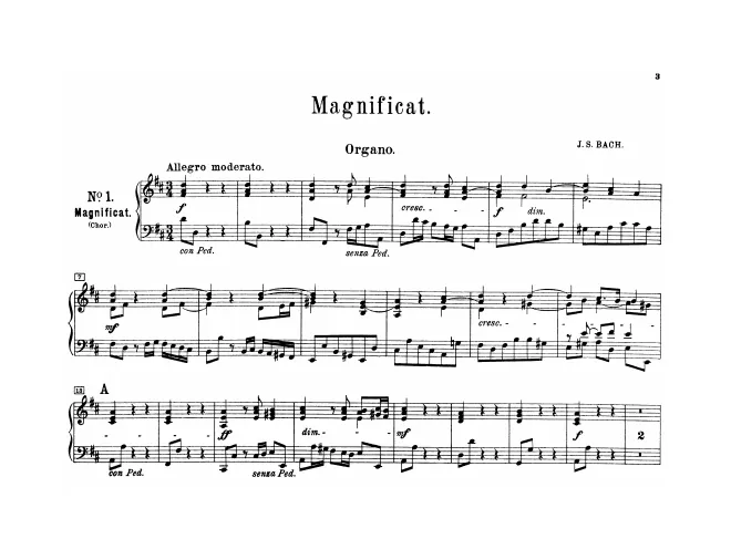 Organ