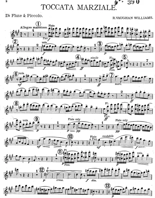 Piccolo/Flute (D)