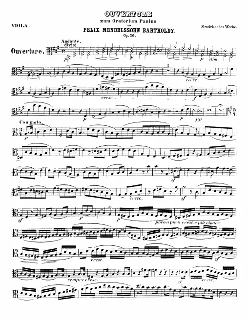 Violas