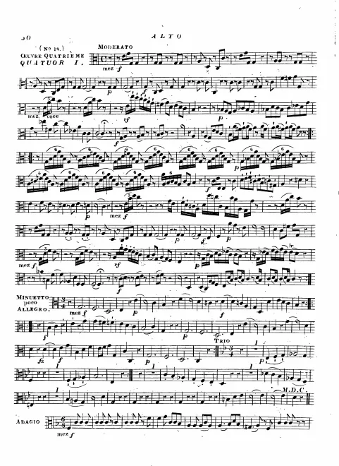 Viola