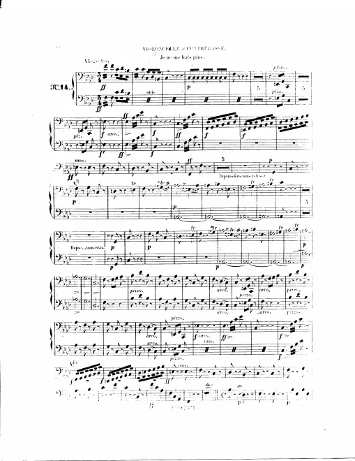 Cellos/Basses