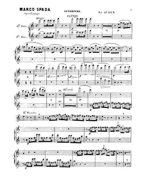 Piccolo/Flute