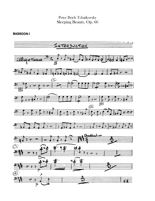 Bassoon 1