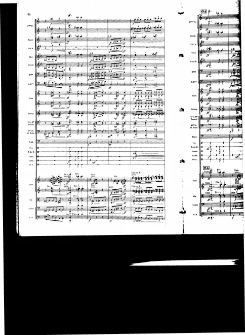 Segment 3