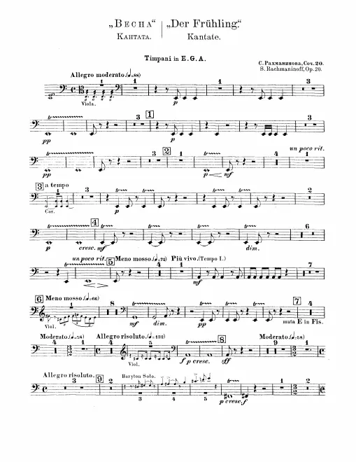 Timpani