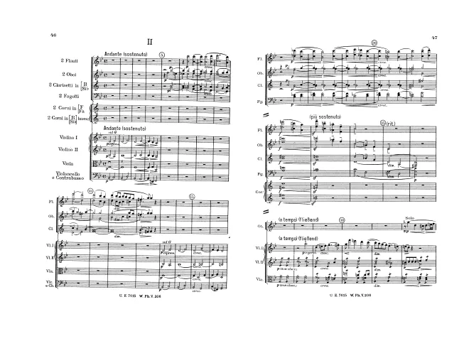 2. Andante (sostenuto)