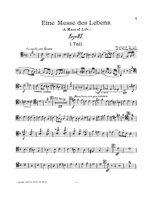 Bassoon 1