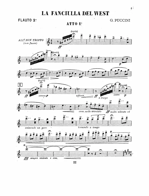 Flute 2