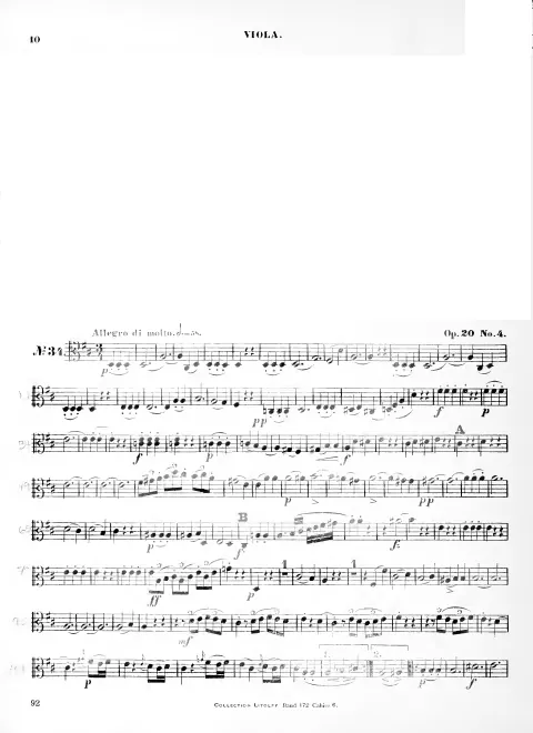 Viola