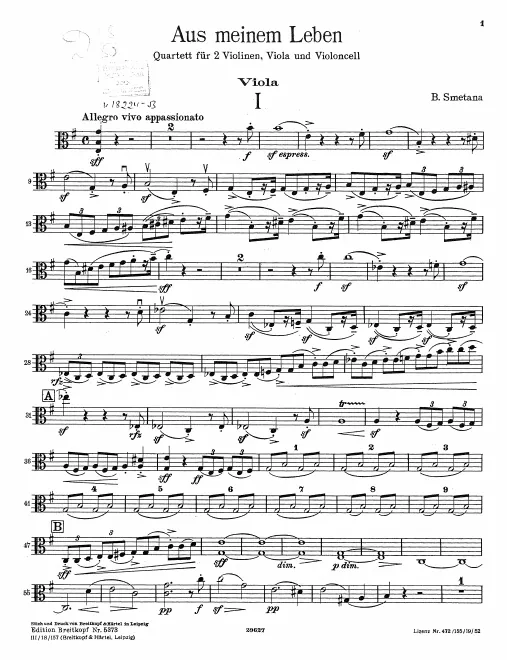 Viola