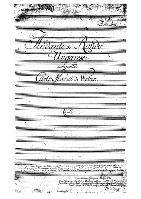 Viola solo
